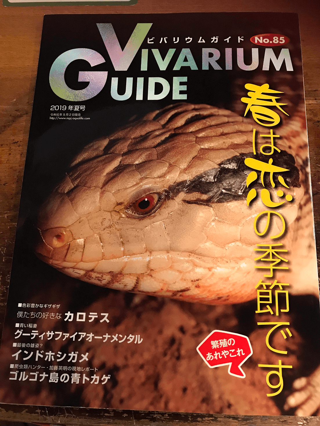 検索結果 やっぱ 熱帯倶楽部