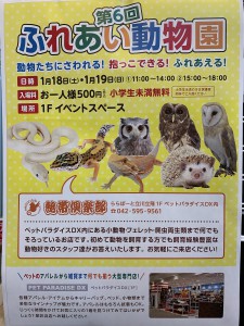 触れ合い動物園開催中です ららぽーと立川立飛店 熱帯倶楽部